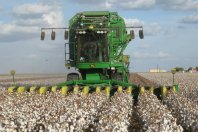 Agriculture industry