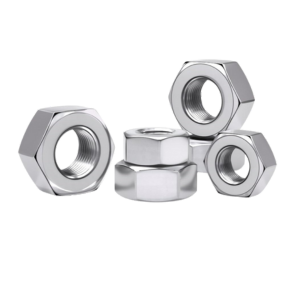 Stainless Steel Nuts