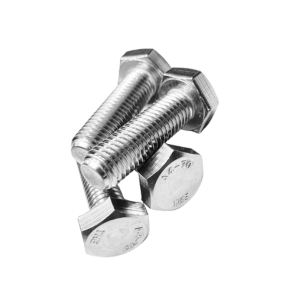 Stainless Steel Bolts